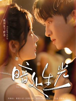 暗处生光（82集）好看短剧抢先看