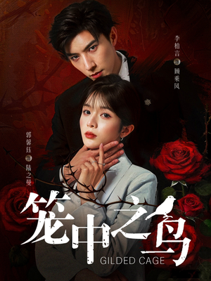 笼中之鸟(70集) 笼中之鸟(70集)短剧太好看了