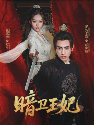 暗卫王妃（60集）精彩短剧追不停