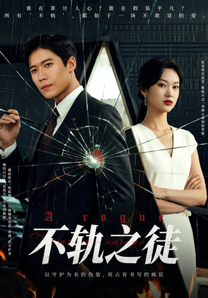 不轨之徒（72集）男主角是谁