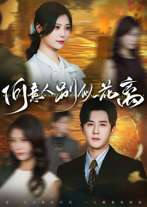 何意人别似花离（61集）最新热剧免费看
