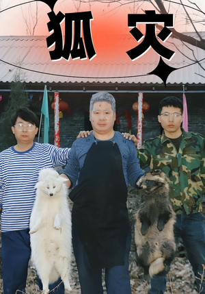 狐灾（25集）悬疑短剧推荐