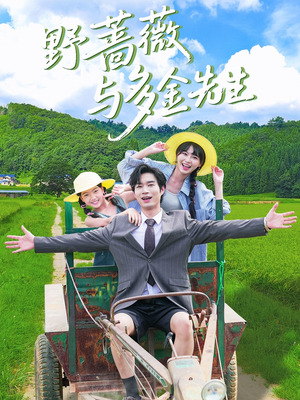 野蔷薇与多金先生（63集）好看的短剧