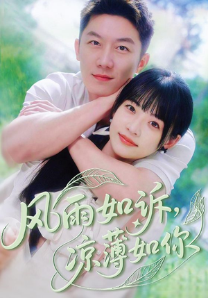 风雨如诉凉薄如你（70集）在线免费观影