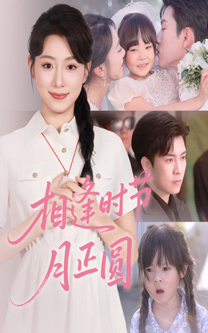 相逢时节月正圆（54集）红果免费看短剧