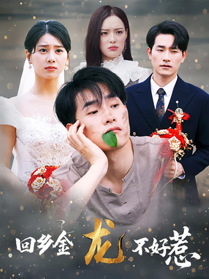 【回乡金龙不好惹】74集短剧免费在线览看