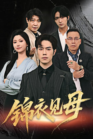 锦衣见母（60集）观看软件