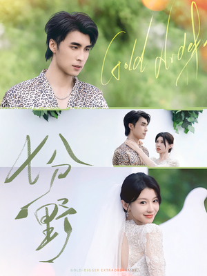 七分野（78集）真的太好看了