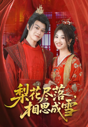 梨花尽落相思成雪（81集）短剧小说在线看