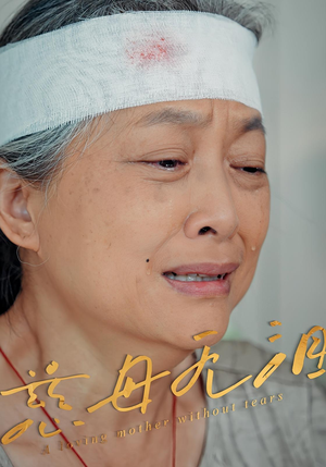 慈母无泪（30集）解说