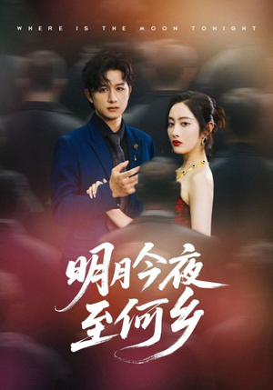 【明月今夜至何乡】70集短剧免费在线览看