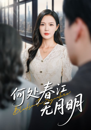 何处春江无月明（70集）360网盘观看