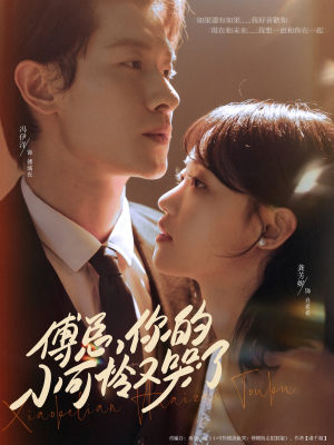 傅总你的小可怜又哭了（80集）最后的大结局