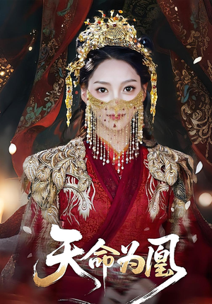 天命为凰（69集）观看软件