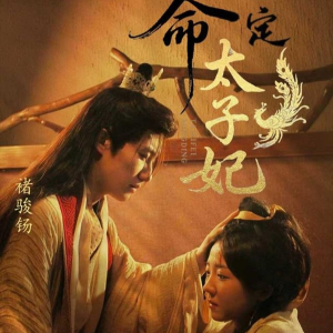 【命定太子妃】63集精彩短剧免费观看