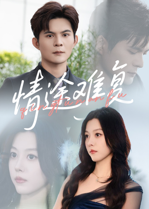 情途难复（50集）直接追到结尾