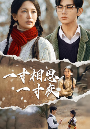 一寸相思一寸灰（43集）精彩短剧又来了