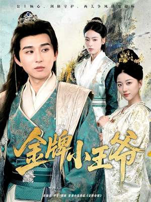 金牌小王爷（80集）360网盘观看