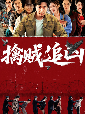 擒贼追凶（72集）百度网盘资源