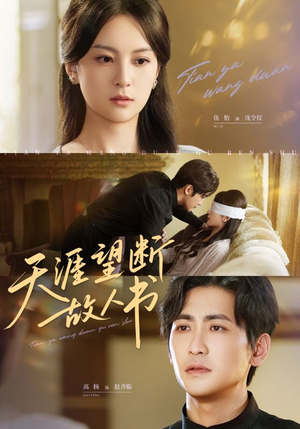 天涯望断故人书（60集）精彩的网络短剧