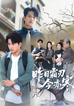 昨日霜刃今亦寒（80集）看过的人都说好
