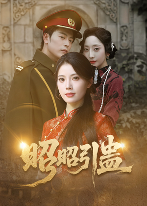 昭昭引蛊（42集）一共多少集