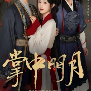 掌中明月（60集）剧情简介