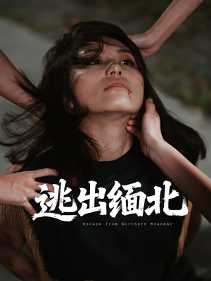 逃出缅北（62集）短剧全集免费看