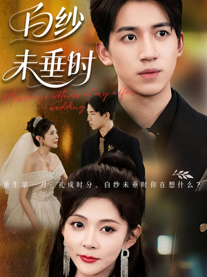 老婆婚礼，我当证婚人（54集）评价怎么样