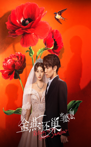 金燕还巢当感恩（55集）免费短剧就是爽