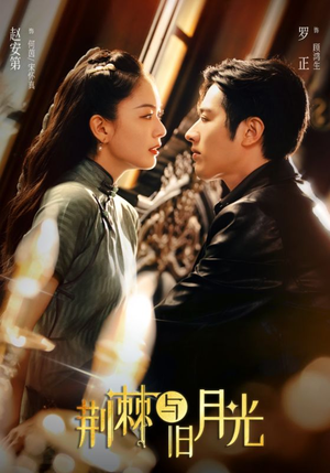 荆棘与旧月光（80集）免费看全集