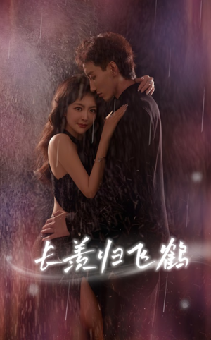 长羡归飞鹤 (70集)哪个短剧网能看