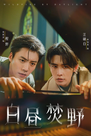 白昼焚野（70集）不用花钱看全剧