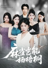 【麻雀岂能栖梧桐】31集免费短剧在线全集赏