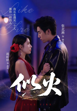 似火（80集）精彩短剧分享。