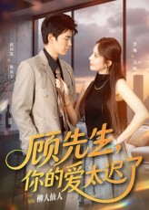 【顾先生你的爱太迟了】60集短剧免费全集乐看