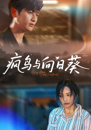 疯鸟与向日葵（40集）在线免费观看