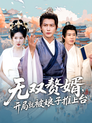 无双赘婿开局就被娘子推上台（80集）短剧有好货推荐