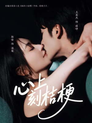 心上刻桔梗（90集）超好看古装短剧