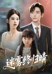 迷雾终归晴（45集）在线观看完整版