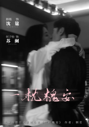 一枕槐安（80集）正能量短剧分享