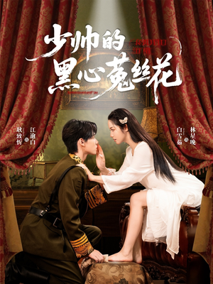 少帅的黑心菟丝花（60集）夸克在线观看