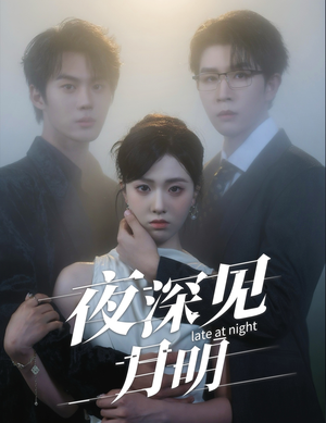 夜深见月明（50集）短剧介绍