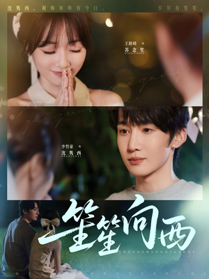 笙笙向西（75集）大结局