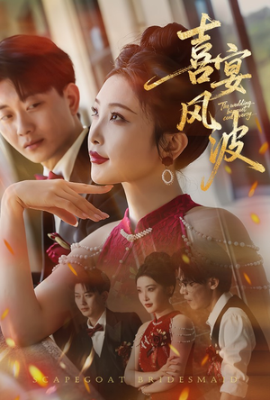 喜宴风波&替罪伴娘（30集）高分推荐免费看