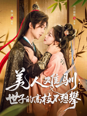 美人难驯世子的高枝不想攀（81集）热播短剧追不停