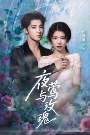 夜莺与玫瑰（66集）免费热门短剧