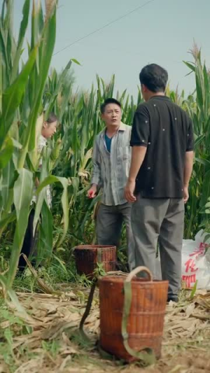 【逍遥村野小神农】80集免费短剧在线全集观映