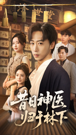 昔日神医归于林下（65集）精彩短剧追不停