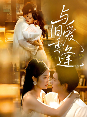 与旧爱重逢（63集）零花钱看整部剧